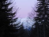 04 Si tinge di rosa